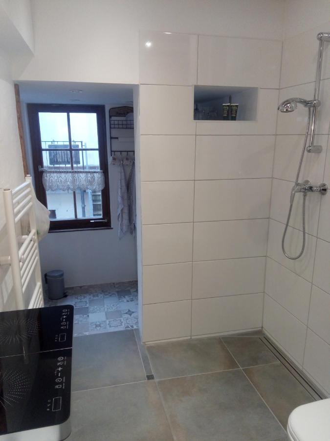 See- Und Altstadthaeusle - Alles Direkt Vor Der Haustuer - Bodenseeufer Natur Altstadt Bahnhof Bora-Sauna - Klein Und Super Zentral Zum See Oepnv Stadt Natur Etc - Appartement Historica ラドルフツェル・アム・ボーデンゼー エクステリア 写真