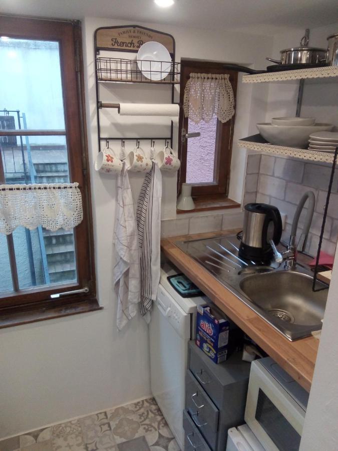 See- Und Altstadthaeusle - Alles Direkt Vor Der Haustuer - Bodenseeufer Natur Altstadt Bahnhof Bora-Sauna - Klein Und Super Zentral Zum See Oepnv Stadt Natur Etc - Appartement Historica ラドルフツェル・アム・ボーデンゼー エクステリア 写真
